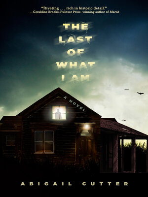 The Last of What I Am - ebook